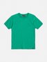 Camiseta Básica Verde Bandeira Infantil Youccie