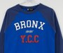 Camiseta Youccie Manga Longa Raglan Bronx